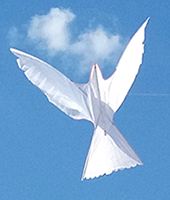 dove kite